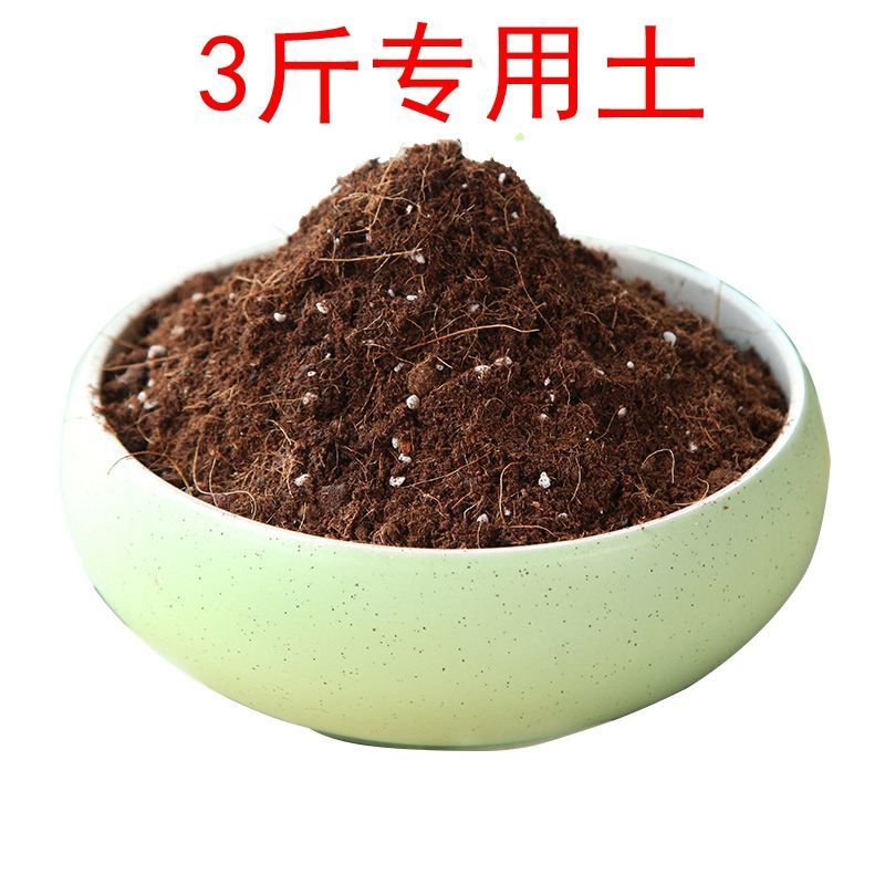 3斤蝴蝶兰专用土蝴蝶兰专用土蝴蝶兰专用营养土透气家用兰花种植专用