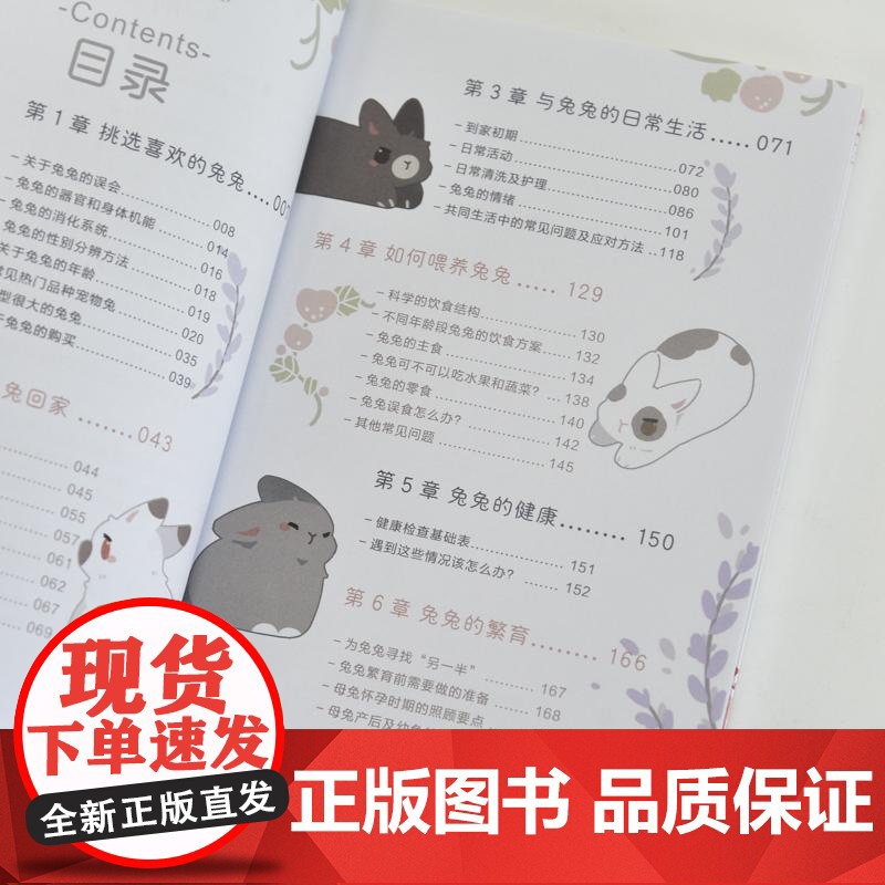 *开始养兔兔 兔兔行为及养护指南 养兔手册 养兔子书籍 宠物兔饲养 兔兔子行为解读 新手养兔攻略高清大图