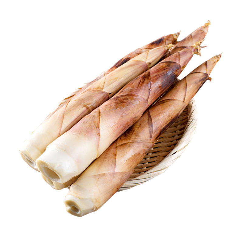 新鲜雷竹笋 5斤装 雷笋 新鲜竹笋 新鲜蔬菜 陈小四水果