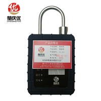 楚庆优 智能锁 CQY-4G01 把