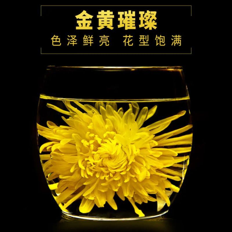 陆卢缘 金丝皇菊花茶一朵一杯菊花枸杞茶清火黄山贡菊胎菊花草茶