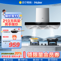 海尔(Haier)抽油烟机CXW-219-ET903 欧式抽油烟机 21爆炒大吸力 一级能效 触控 家用