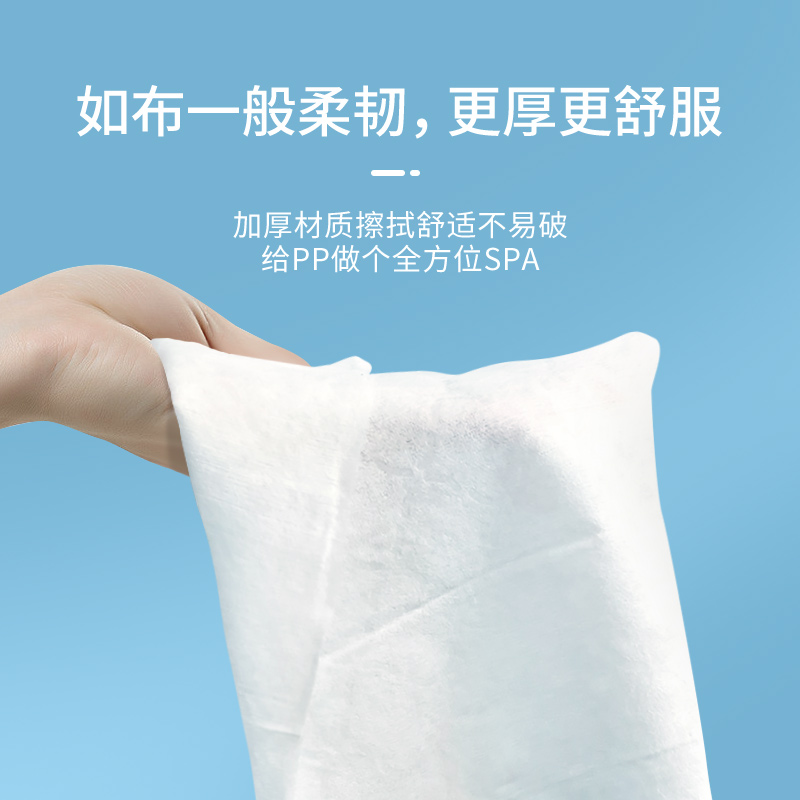 蓝帆 湿厕纸除菌液体湿擦卫生湿巾湿纸巾洁厕40片高清大图