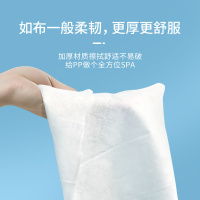 蓝帆 湿厕纸除菌液体湿擦卫生湿巾湿纸巾洁厕40片