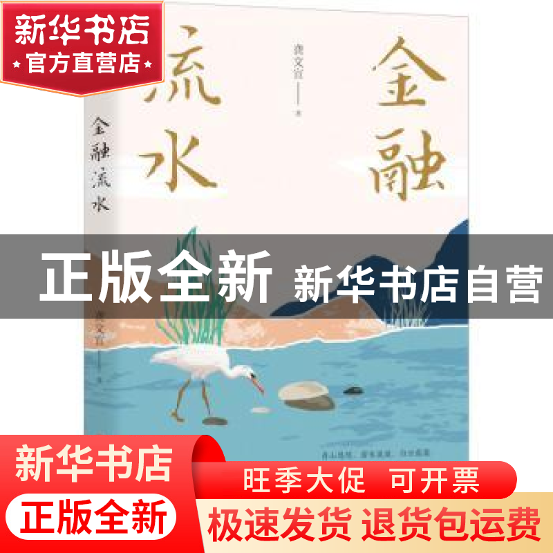 正版 金融流水 龚文宣 中国文史出版社 9787520528320 书籍