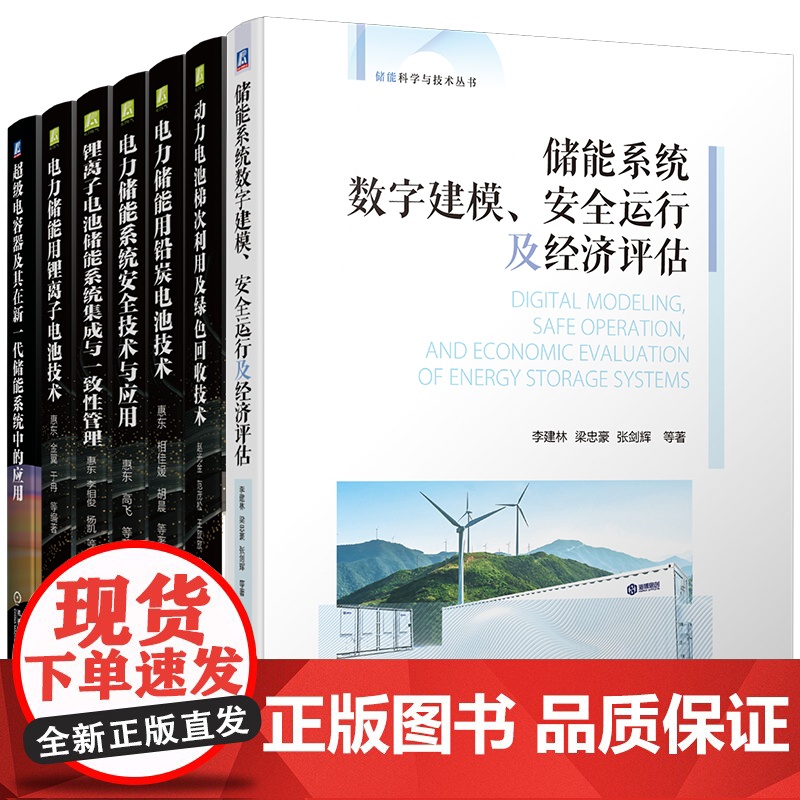 电力储能系统安全技术与应用+动力电池梯次利用及绿色回收技术+铅炭电池技术+锂离子电池技术 套装全7册 电池储能系统高清大图