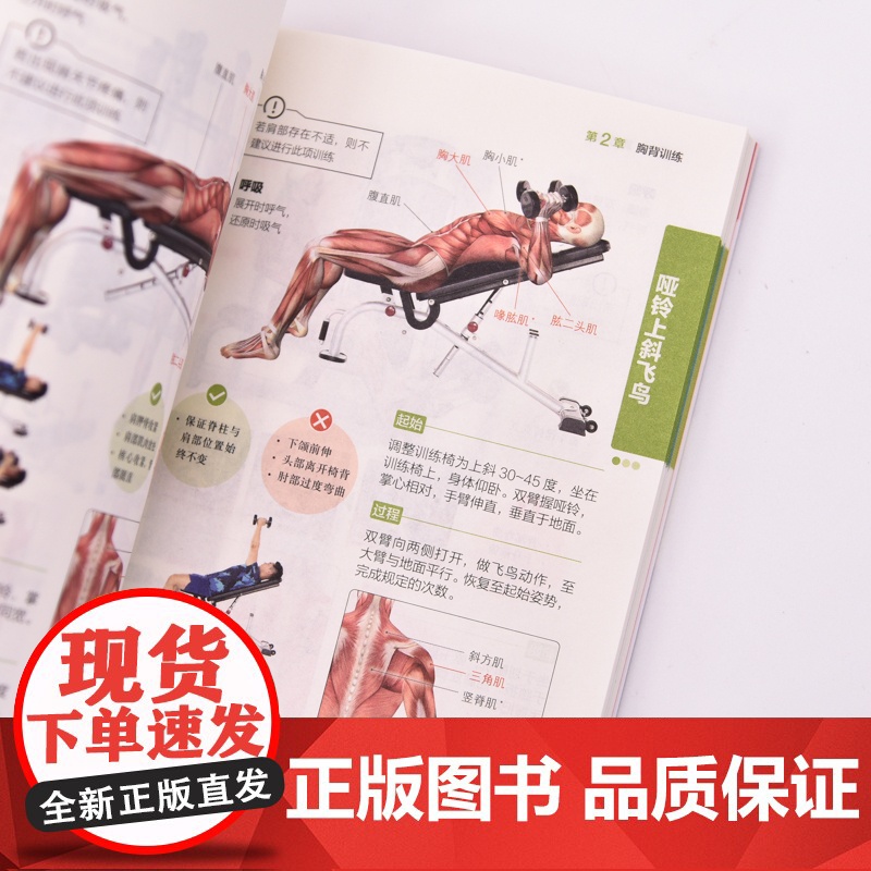 健身房训练彩色图谱 口袋版 健身书籍 健身训练计划 增肌书籍 力量与肌肉训练图谱 力量训练书籍高清大图