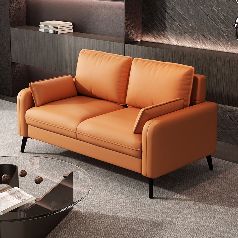 藤印象小户型双人轻奢卧室公寓出租房服装店美发店休息区小沙发简约