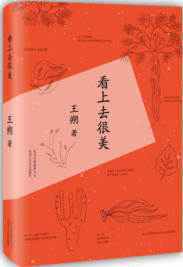[正版] 看上去很美 王朔随笔集作品致女儿书我是你爸爸 爱情小说都市 情感小说中国现当代文学经典文学小说书籍高清大图