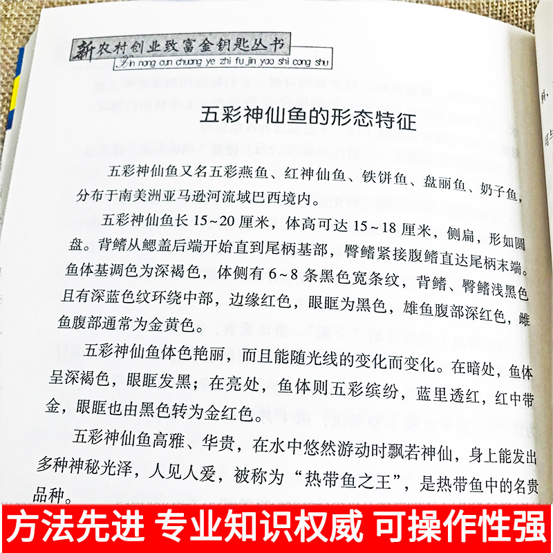 [正版]观赏鱼的喂养与疾病防治观赏鱼养殖入门书籍养鱼大全技术选鱼饲养与鉴赏图典锦鲤鱼养护喂养技巧教程养殖实用技法淡水鱼类高清大图