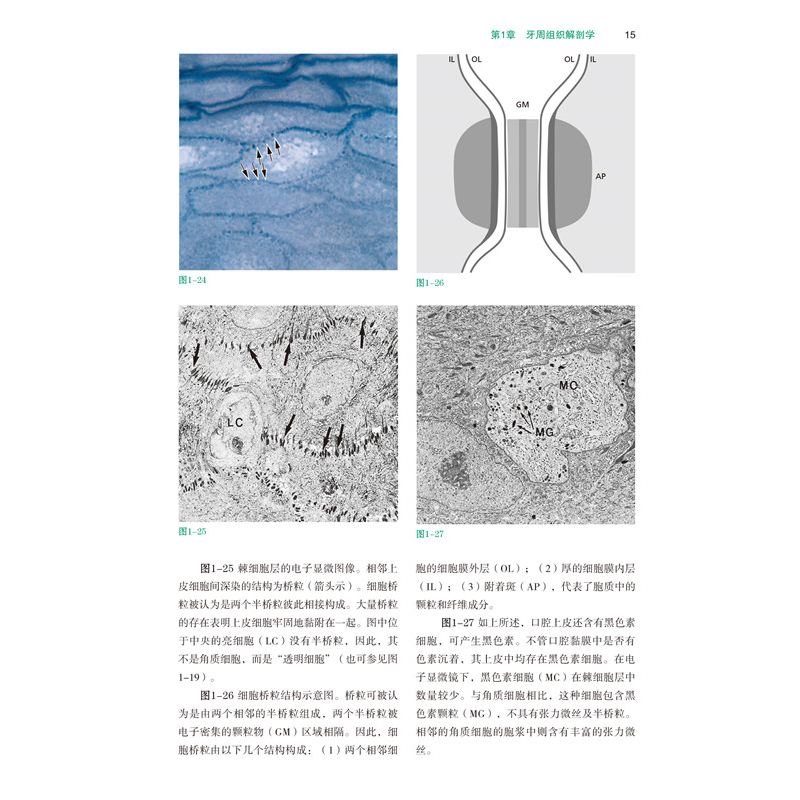 醉染图书临床牙周病学和口腔种植学 第6版(全3册)9787559114570高清大图