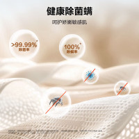 海尔滚筒洗衣机XQG110-L58E1 11kg大容量 1级能效 LED屏 智能除菌螨 极夜灰不锈钢内桶