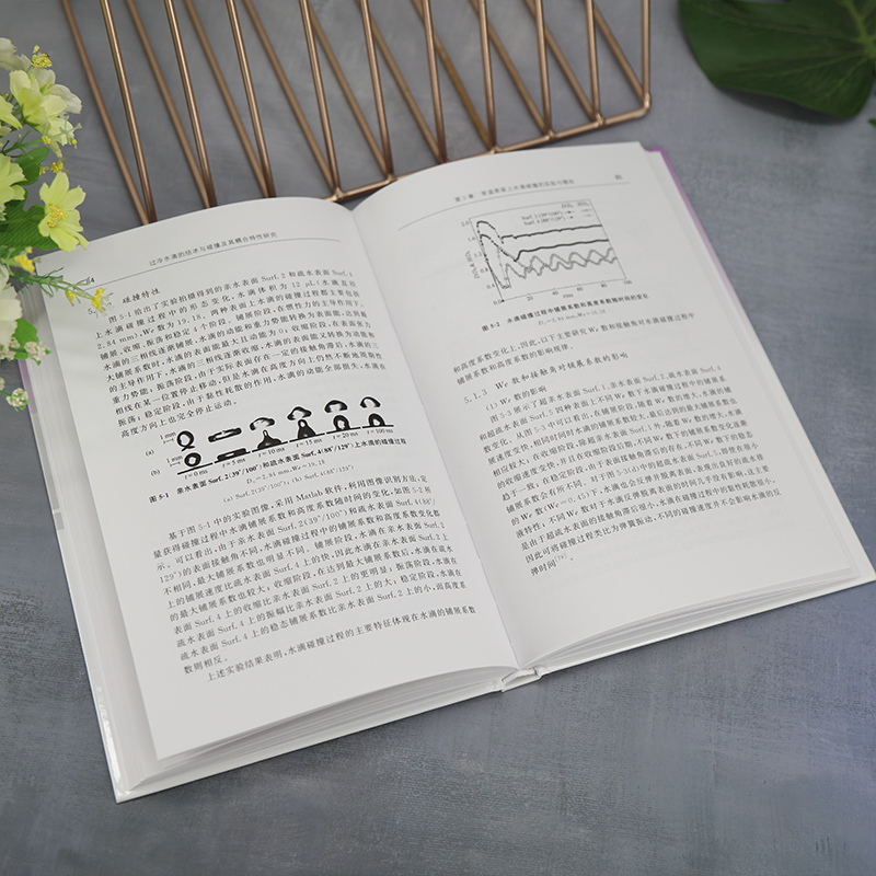 [醉染正版]过冷水滴的结冰与碰撞及其耦合特性研究 张旋 著 航空与航天高清大图