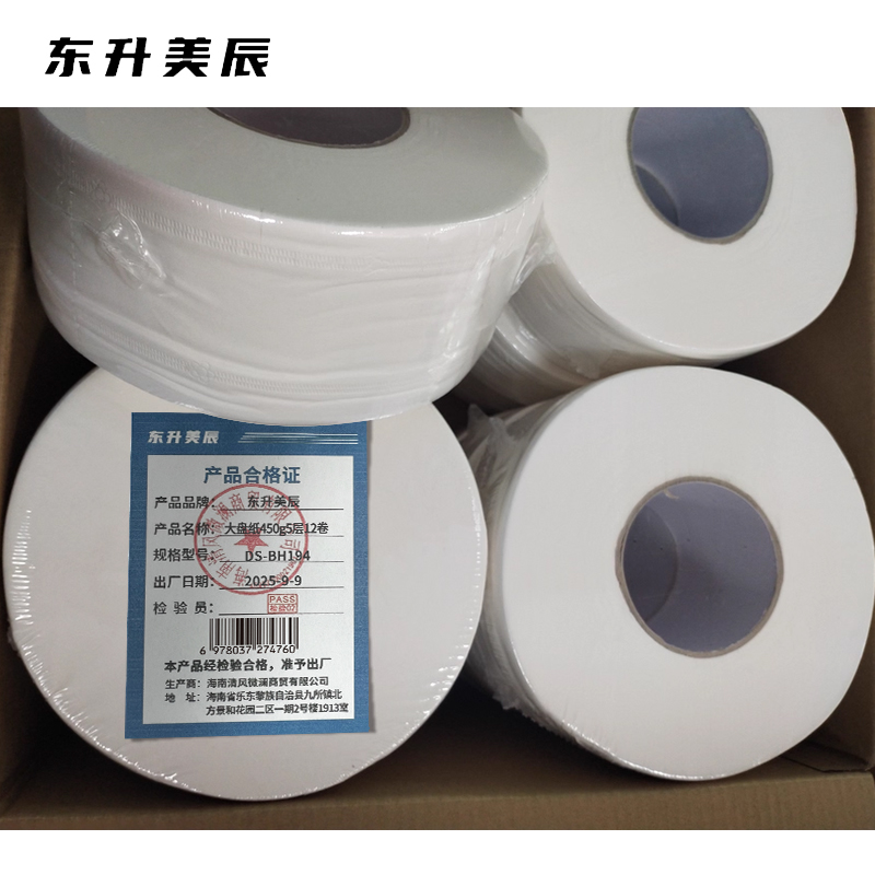 东升美辰 大盘纸450g5层12卷 DS-BH194 箱高清大图