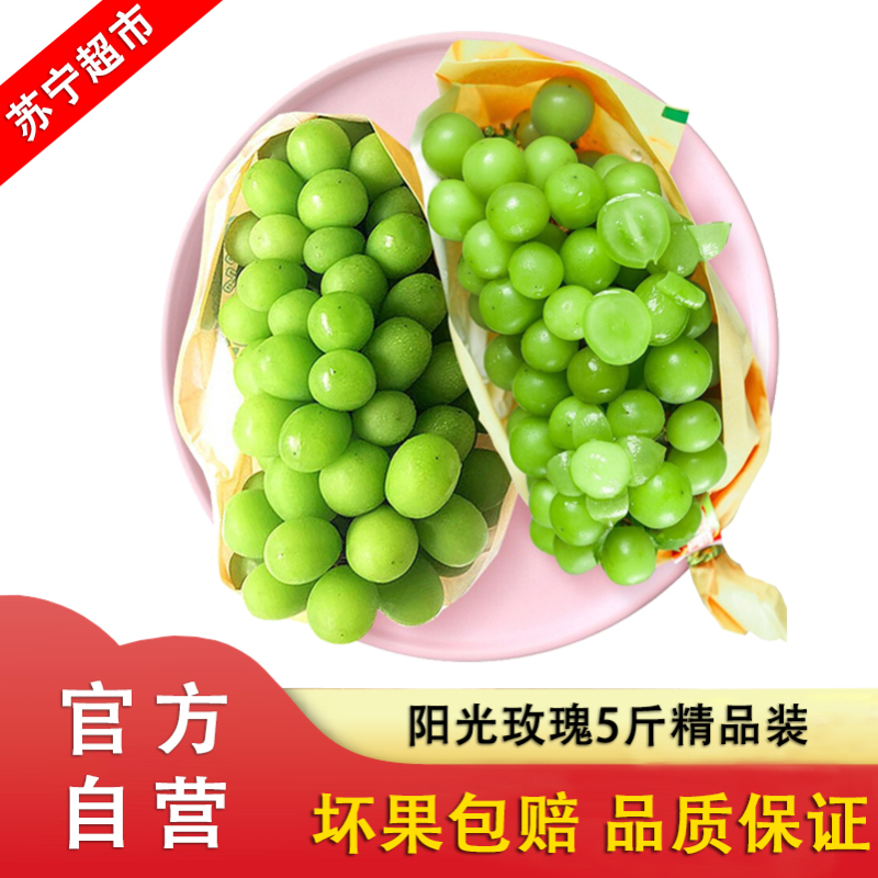 阳光玫瑰葡萄 精品5斤装 提子 青提 新鲜水果生鲜 苏宁自营水果 单果8g+
