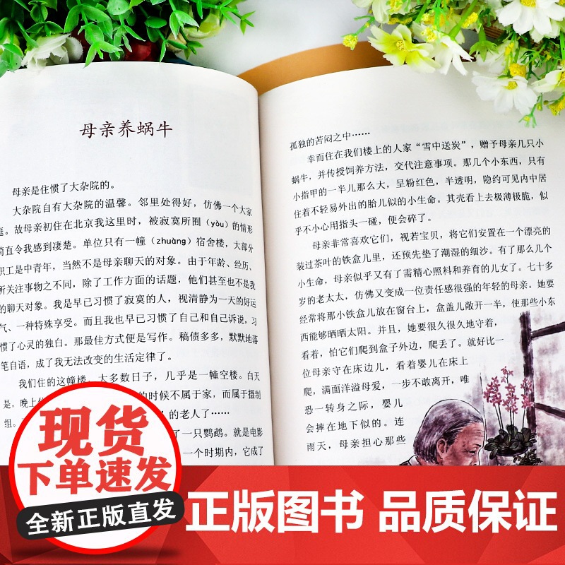 慈母情深梁晓声正版 五年级阅读课外书上册 人民教育出版社 适合小学生看的课外阅读书籍 语文教材配套课文作家作品老师推儿童高清大图