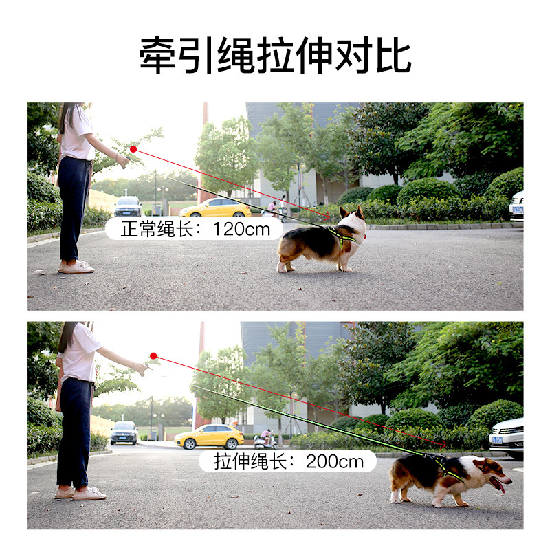 YP-牛津布胸背带牵引绳L号-红色