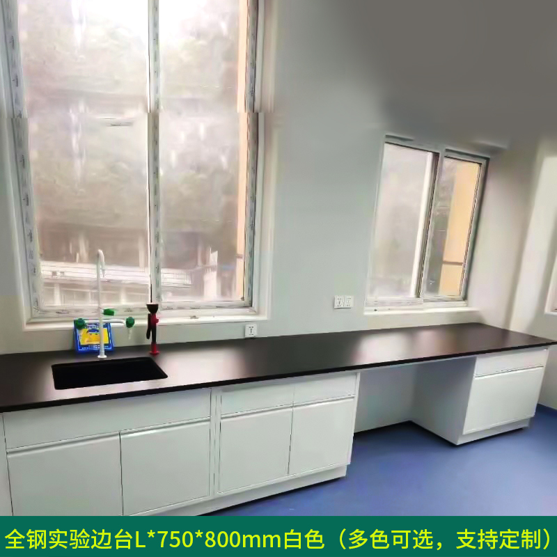 汉诺鑫威全钢实验台钢木PP边台柜试验台化验室工作台实验室桌操作台定制(每米单价)【工厂现做 7天内发货】 全钢白色边台工作台L*750*800mm