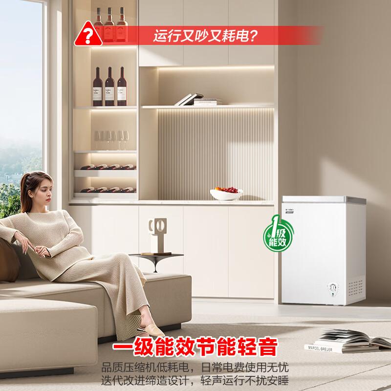 容声 BD/BC-100E10HNLAJ 100升小型冰柜家用冷藏冷冻转换卧式冷柜一级能效顶开门母乳存放小冰箱高清大图