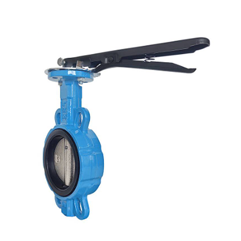 兴酉 对夹式软密封蝶阀 DN50 个高清大图