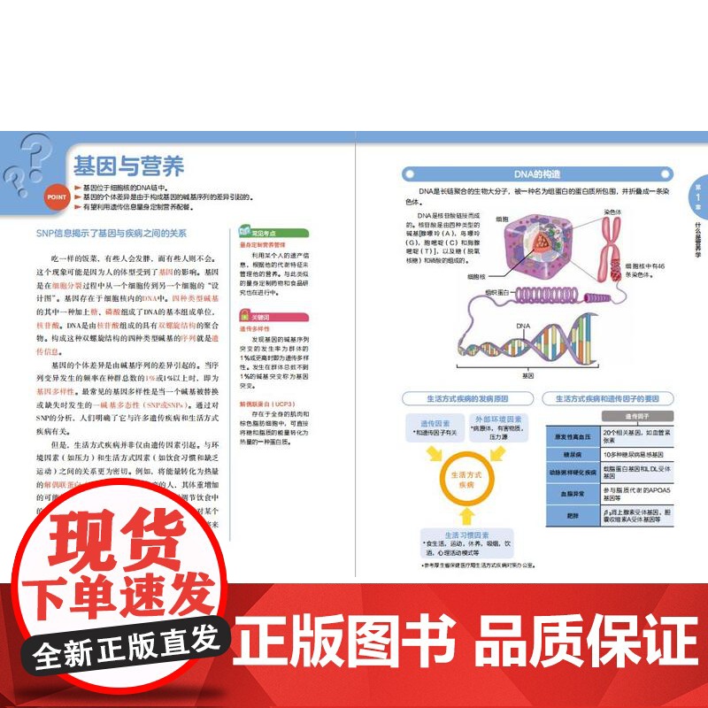 生活-图解营养学基础图解图解远离疾病的营养学健康饮食搭配技巧营养学营养师大全书养生食疗饮食搭配技巧营养健康科普膳食实用书高清大图