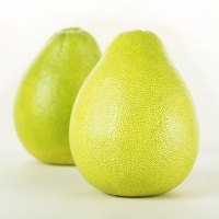 树懒果园 台湾麻豆文旦柚子 2个 单果约450-550g 新鲜蜜柚