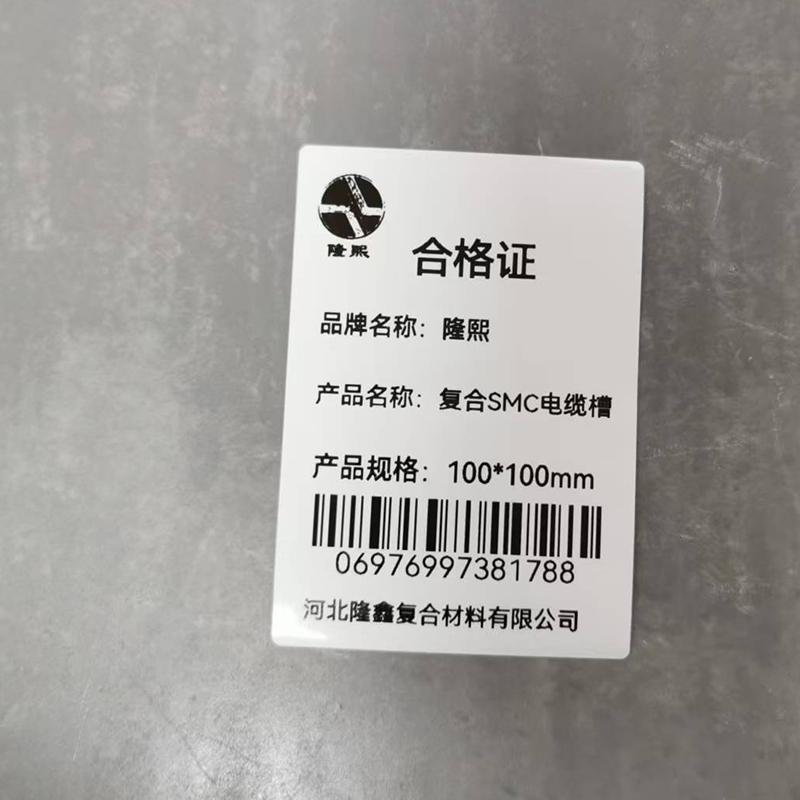 隆熙+复合SMC电缆槽+100*100mm+米高清大图