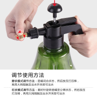 纳丽雅(Naliya)居园艺绿植透明浇花喷壶家用气压式小型喷雾器浇水壶喷雾瓶