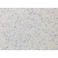 广州惠华厂房、电子机房常用防静电瓷砖600*600