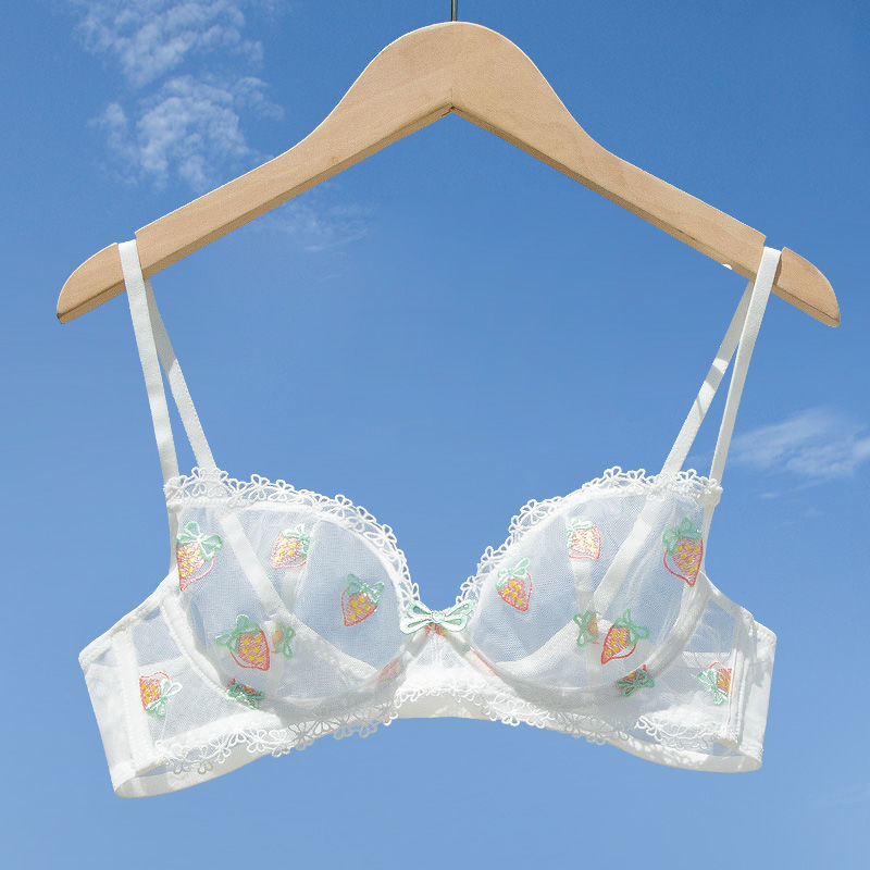 法式透明胸罩女超薄款蕾丝性感内衣诱惑刺绣文胸bra[单件/套装] 白色
