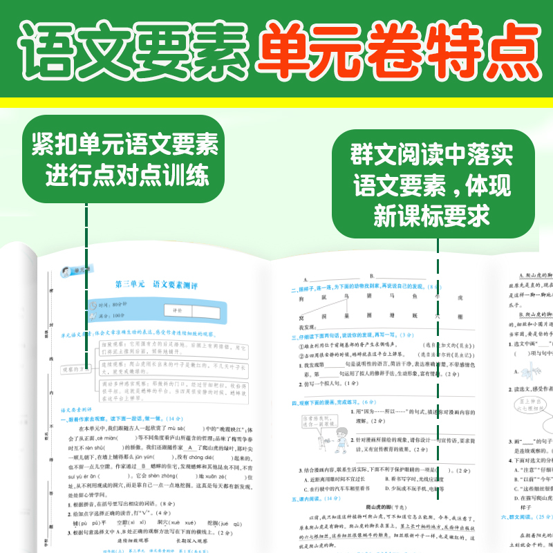 (语文)要素单元卷 五年级上 [正版]2024荷尖尖语文要素单元卷一二三四五六年级上册下册同步试卷训练小学语文核心素养天