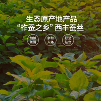 LOVO乐蜗家纺蚕丝被子被芯夏凉被空调被蚕丝夏被春秋被单双人被子被芯