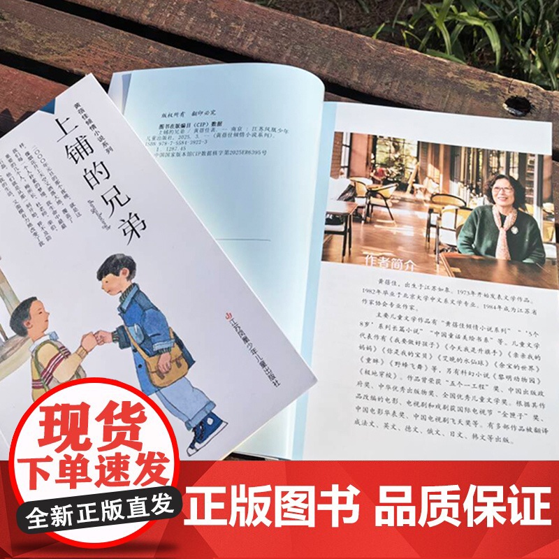 上铺的兄弟 黄蓓佳倾情小说系列2025新作 教育理想 通识教育 儿童成长高清大图