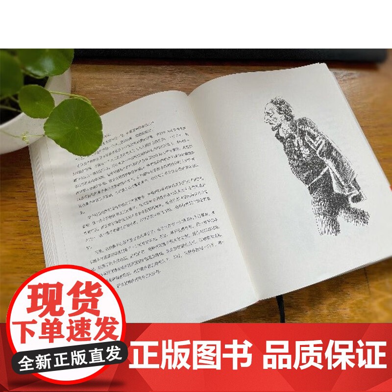 童年的许诺 图文版 罗曼·加里 著 小说高清大图