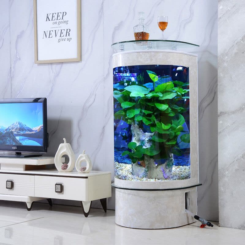 鱼缸客厅小型家用造景落地半圆形玻璃鱼缸水族箱生态免换水轻奢新款立式圆柱形鱼缸图片