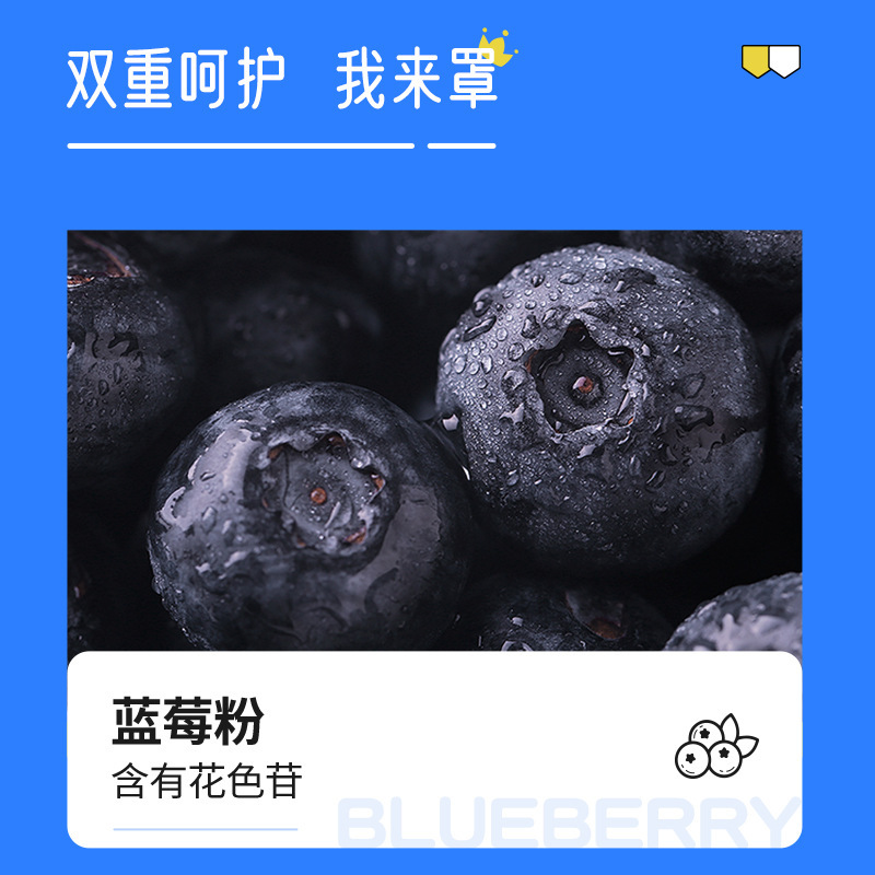 诺特兰德 蓝莓叶黄素酯压片(0.6g*60片/瓶)*3瓶装青少年成人眼睛叶黄素蓝莓味 叶黄素一瓶装