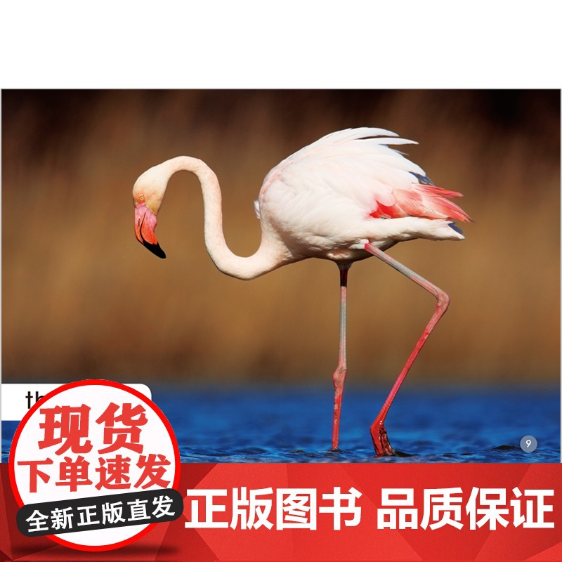 [外研社]多维阅读预备级上高清大图