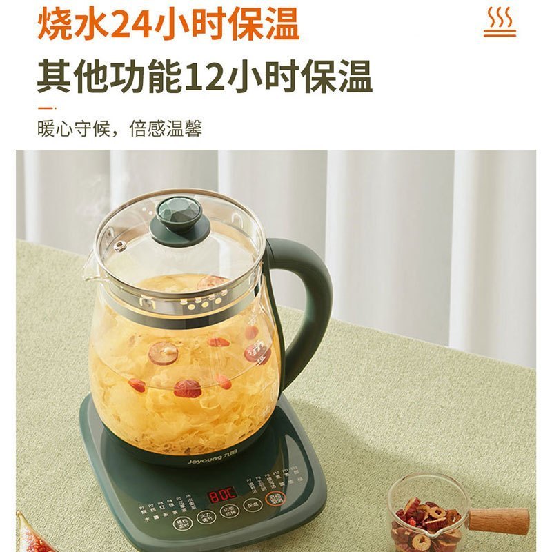 九阳养生壶家用全自动电水壶煎药壶多功能玻璃花茶壶可拆卸茶篮煮茶器热水壶WY1120