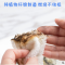 加厚吸水洗碗布竹纤维不沾油厨房专用抹布刷锅洗碗巾不掉毛百洁布|白色 23*18(10条装)竹纤维