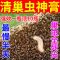 巢虫清特效膏不伤蜂[3秒除一窝]中蜂用强效杀棉虫白头蛹巢虫清 巢虫清膏[1瓶试用装]