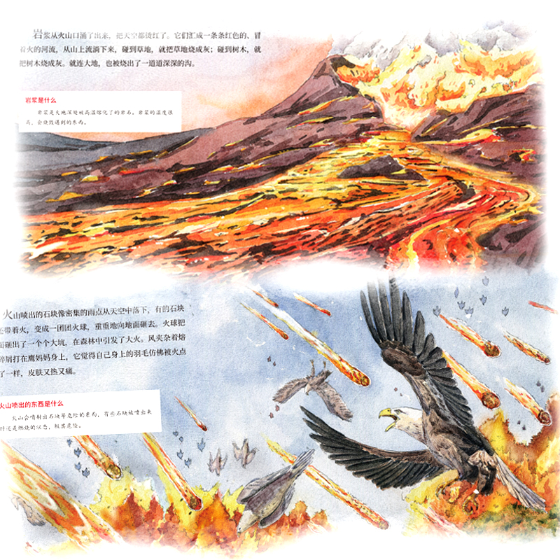 讲给孩子的自然灾害科普绘本[全8册] [正版]讲给孩子的自然灾害科普绘本全8册儿童绘本气象现象冰雹科暴雪地震火灾洪水火山高清大图