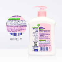 泡沫洗手液 TA0040 家用抑菌消毒液500ML(单位:瓶)