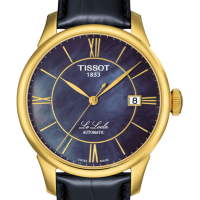 TISSOT天梭力洛克皮带新款机械男表T41.5.423.93