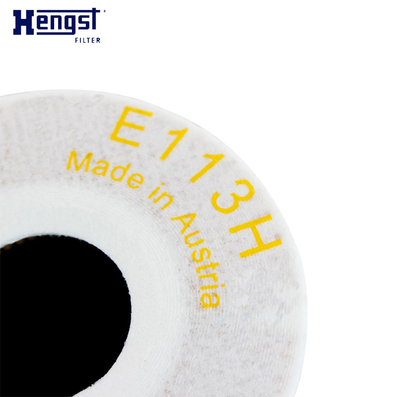 汉格斯特（hengst）机油格滤清器纸芯E113H D235适用于保时捷卡宴Macan帕纳美拉911