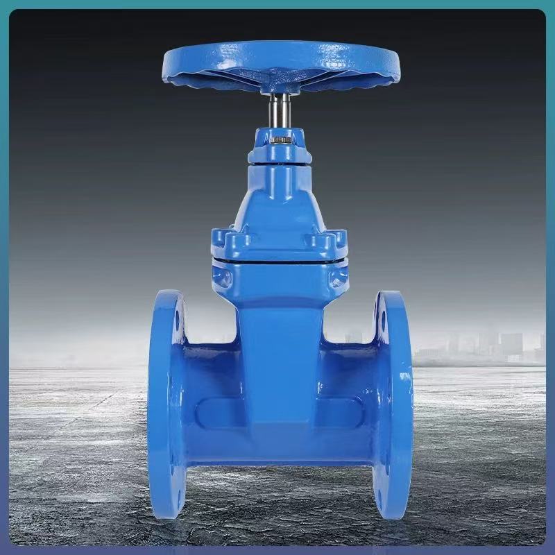 伟鹏双兴 法兰软密封暗杆闸阀 DN125 台高清大图