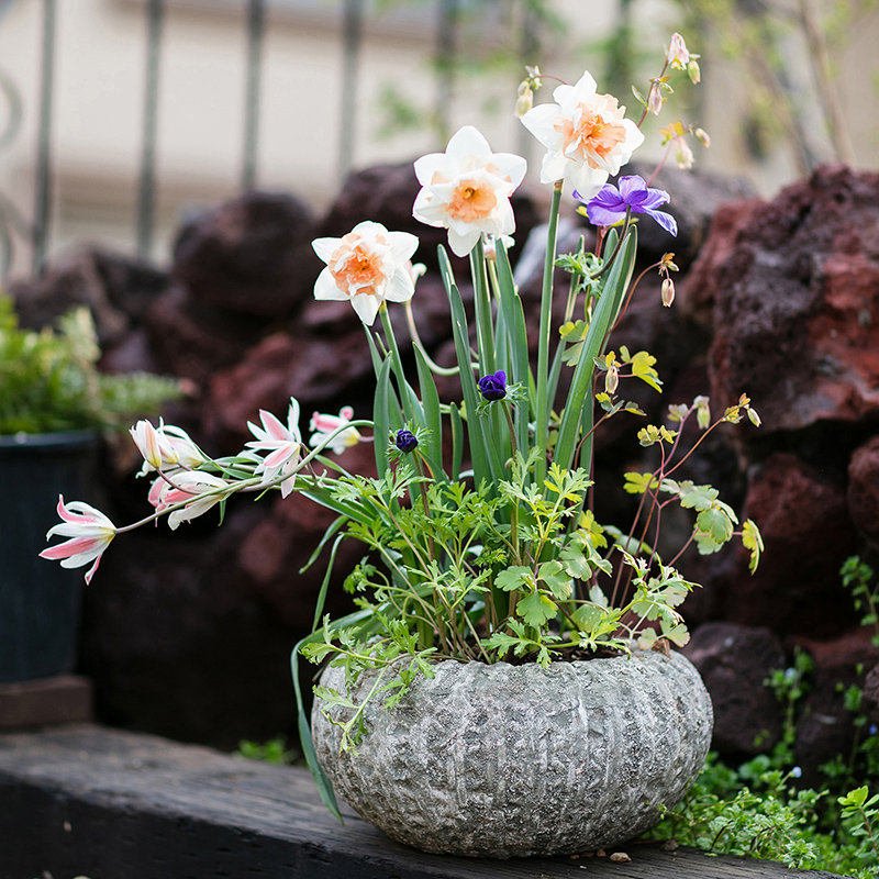 家柏饰(CORATED)复古手工土陶罐粗陶花盆 红陶灰色圆形吊兰绿萝多肉插花透气 圆形花器(小号) 大高清大图