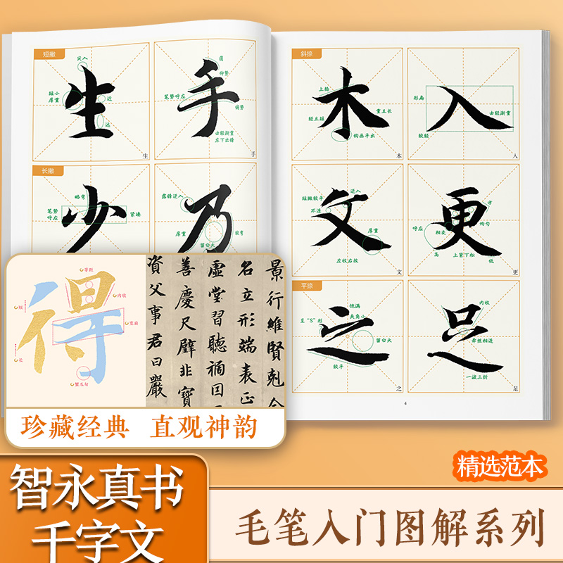 正版新书】智永真书《千字文》入门图解金昊 编9787554030974