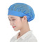 冰禹 防尘工作帽 BYsy-17 涤棉 宽边蓝色 1顶