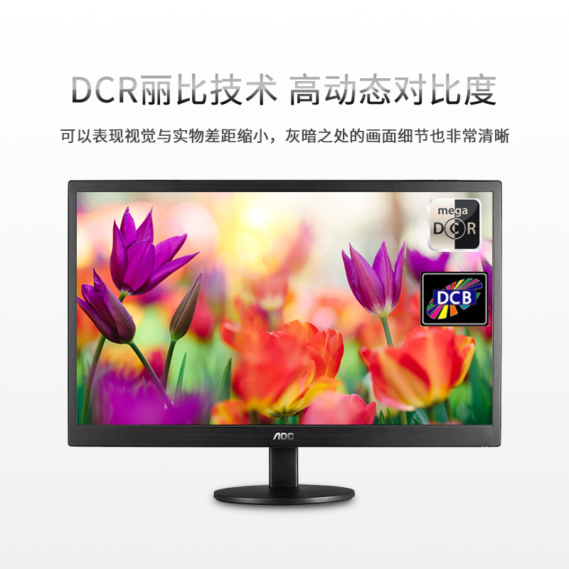 AOC E2070SWN 19.5英寸全高清可壁挂 商务办公LED背光节能电脑显示器