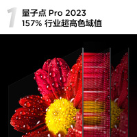 TCL 65T8E Max 65英寸QLED量子点全面屏高清智能液晶网络平板电视